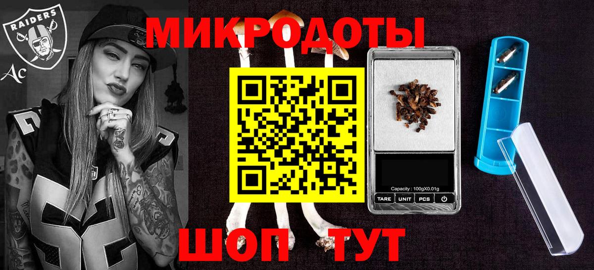 Галлюциногенные грибы Psilocybine cubensis Семилуки